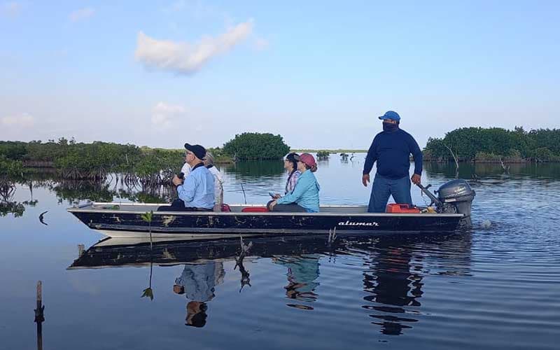 Sunrise & Bird Watching at Punta Sur
